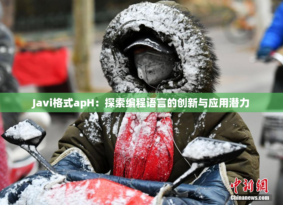Javi格式apH：探索编程语言的创新与应用潜力