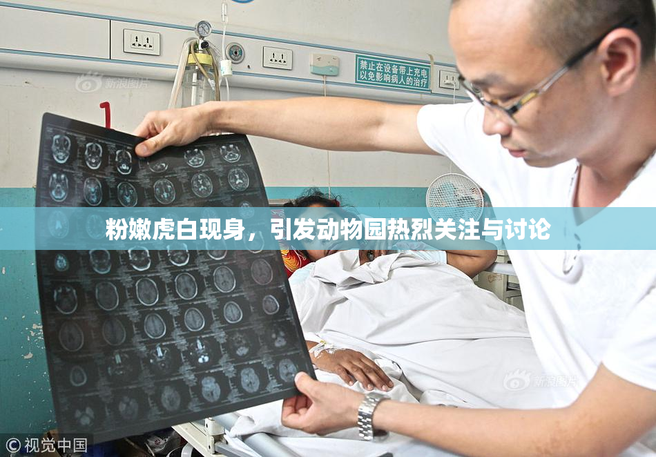 粉嫩虎白现身，引发动物园热烈关注与讨论