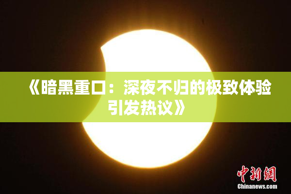 《暗黑重口：深夜不归的极致体验引发热议》