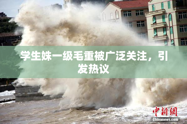 学生姝一级毛重被广泛关注，引发热议