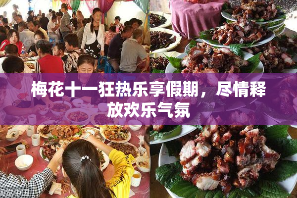梅花十一狂热乐享假期，尽情释放欢乐气氛