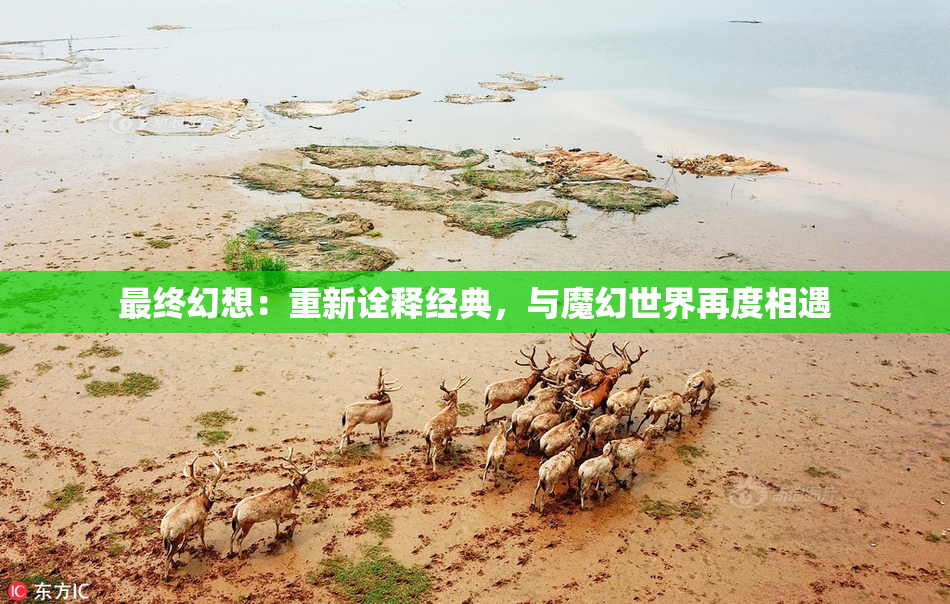 最终幻想：重新诠释经典，与魔幻世界再度相遇