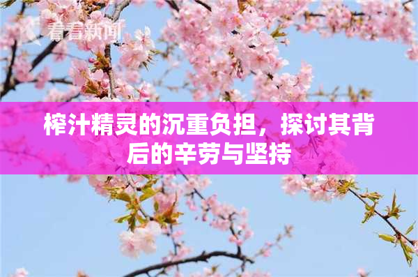榨汁精灵的沉重负担，探讨其背后的辛劳与坚持
