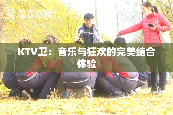 KTV卫：音乐与狂欢的完美结合体验