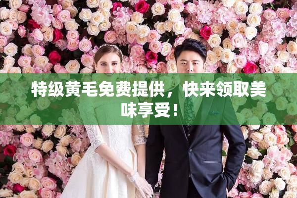 特级黄毛免费提供，快来领取美味享受！