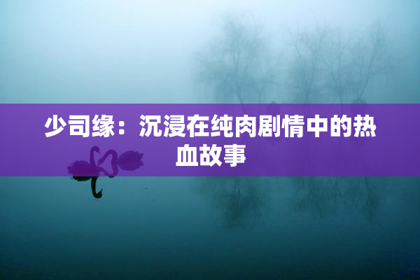少司缘：沉浸在纯肉剧情中的热血故事