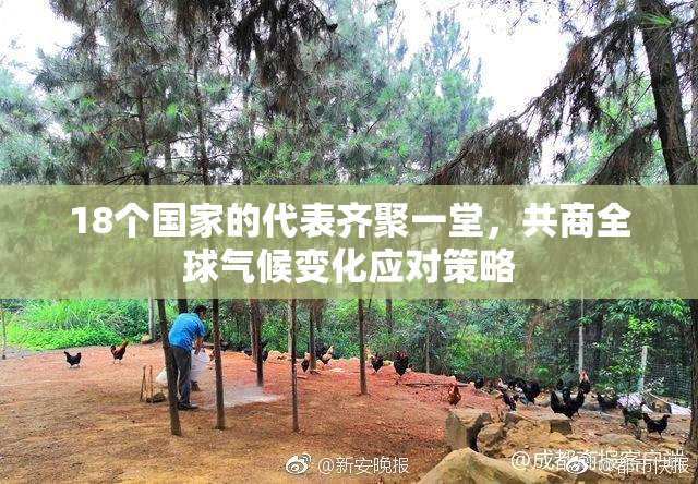 18个国家的代表齐聚一堂，共商全球气候变化应对策略