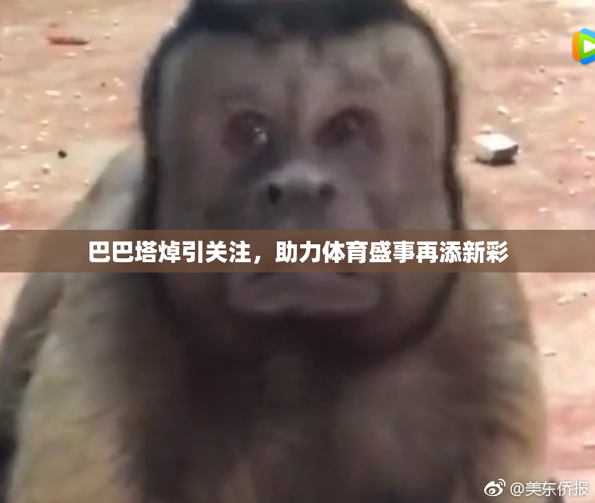 巴巴塔焯引关注，助力体育盛事再添新彩