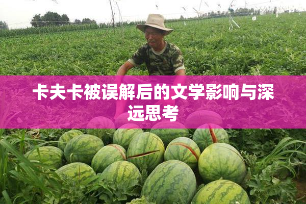 卡夫卡被误解后的文学影响与深远思考
