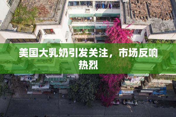 美国大乳奶引发关注，市场反响热烈