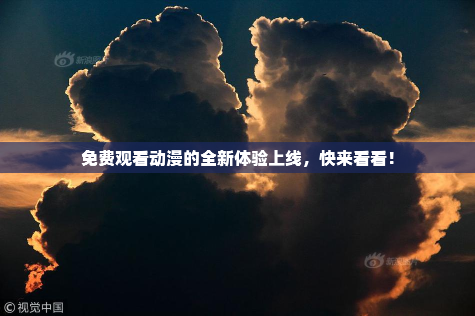 免费观看动漫的全新体验上线，快来看看！