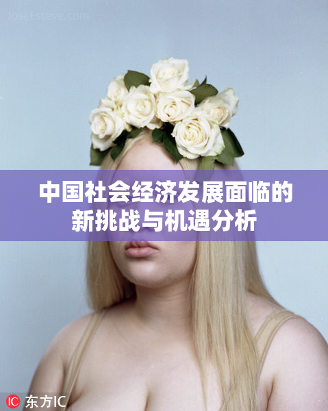 中国社会经济发展面临的新挑战与机遇分析