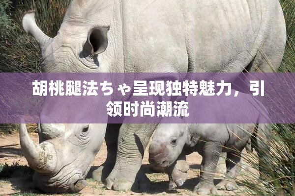 胡桃腿法ちゃ呈现独特魅力，引领时尚潮流
