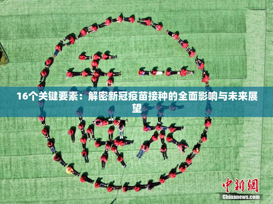 16个关键要素：解密新冠疫苗接种的全面影响与未来展望