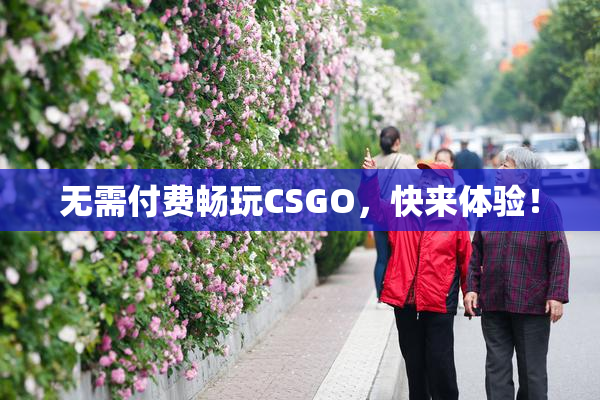 无需付费畅玩CSGO，快来体验！