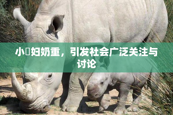 小婬妇奶重，引发社会广泛关注与讨论