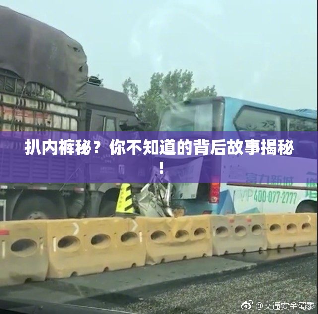 扒内裤秘？你不知道的背后故事揭秘！