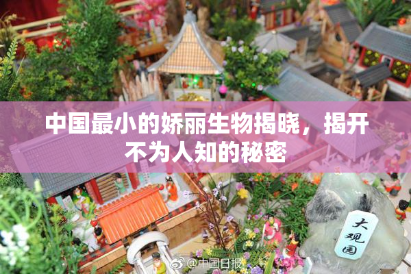 中国最小的娇丽生物揭晓，揭开不为人知的秘密