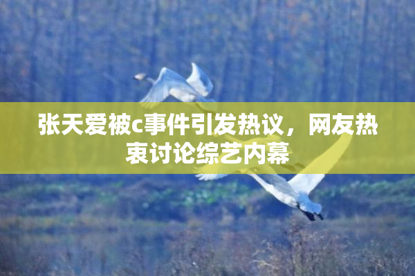 张天爱被c事件引发热议，网友热衷讨论综艺内幕