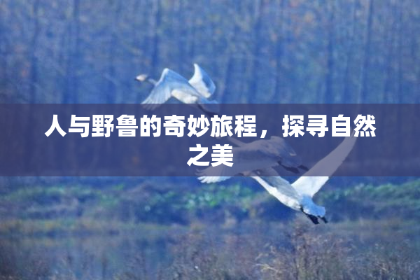 人与野鲁的奇妙旅程，探寻自然之美