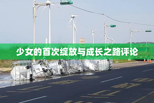 少女的首次绽放与成长之路评论