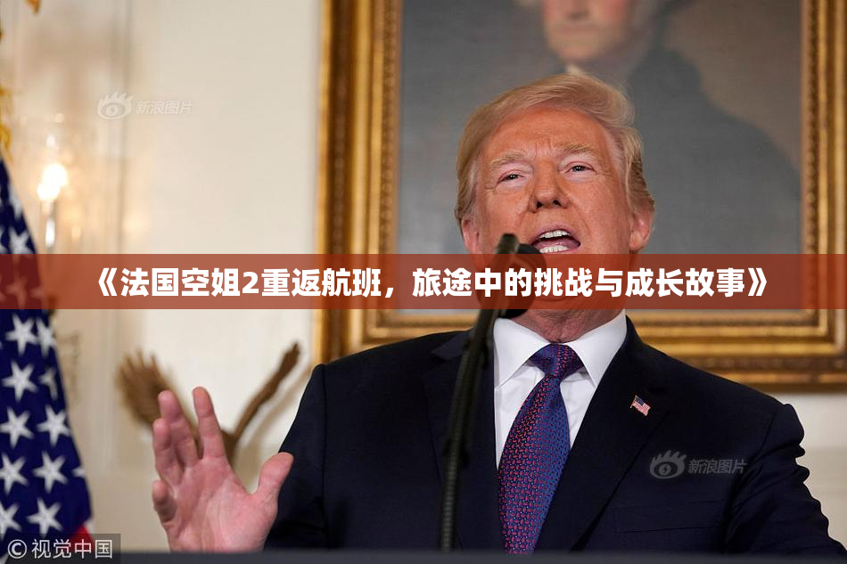 《法国空姐2重返航班，旅途中的挑战与成长故事》