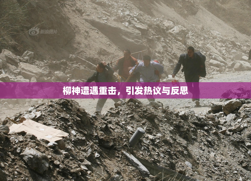 柳神遭遇重击，引发热议与反思