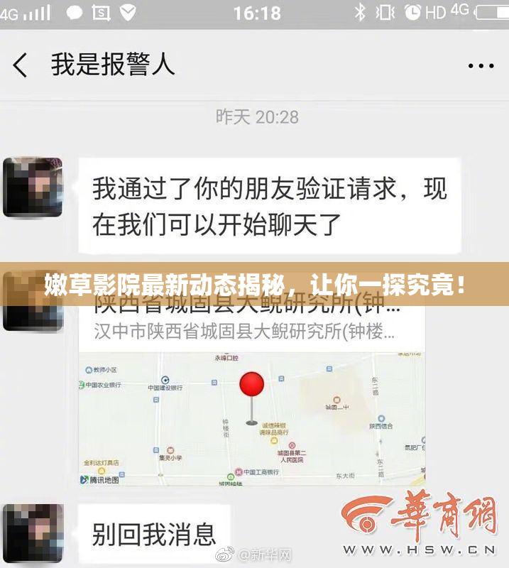 嫩草影院最新动态揭秘，让你一探究竟！