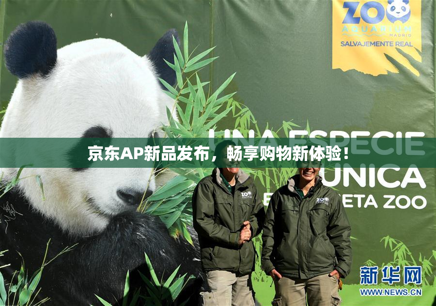 京东AP新品发布，畅享购物新体验！
