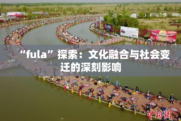 “fula”探索：文化融合与社会变迁的深刻影响