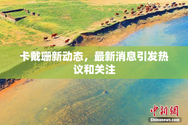 卡戴珊新动态，最新消息引发热议和关注
