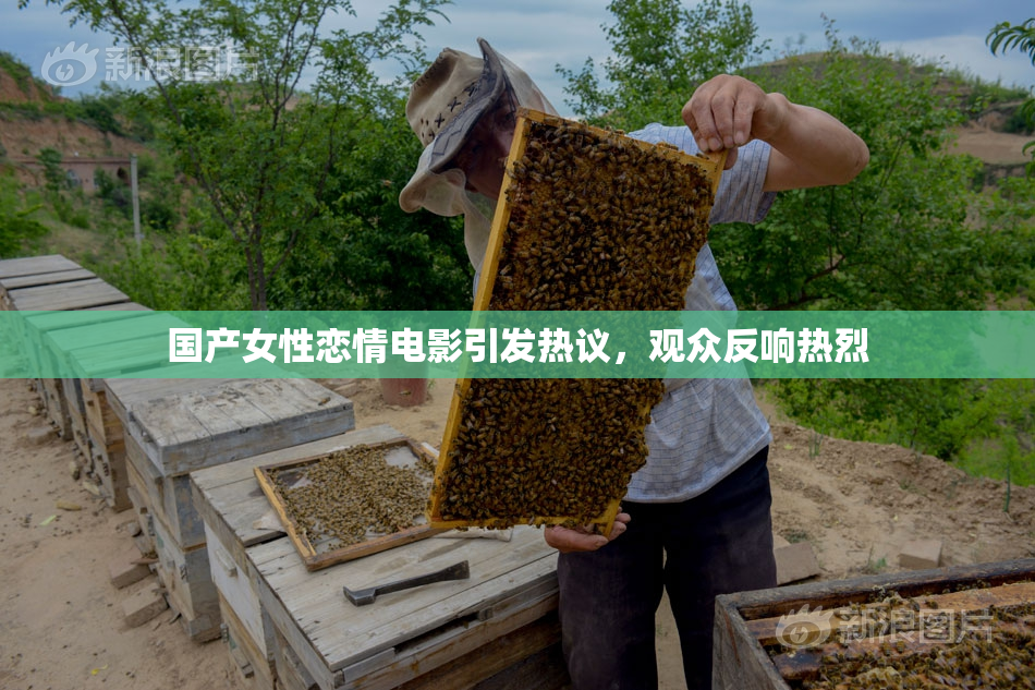 国产女性恋情电影引发热议，观众反响热烈
