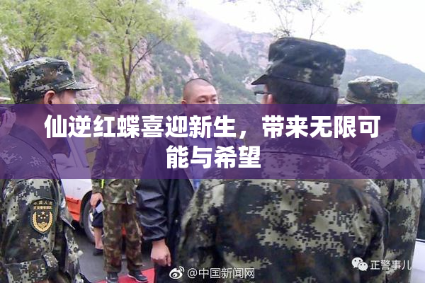 仙逆红蝶喜迎新生，带来无限可能与希望