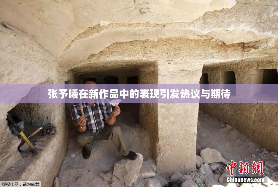 张予曦在新作品中的表现引发热议与期待