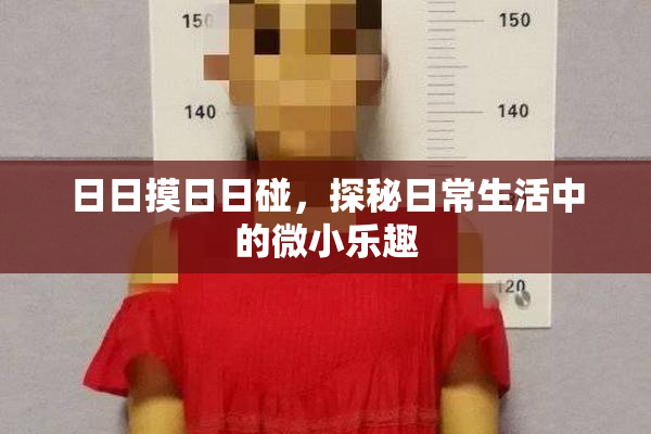 日日摸日日碰，探秘日常生活中的微小乐趣