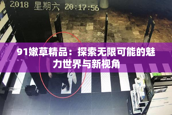91嫩草精品：探索无限可能的魅力世界与新视角