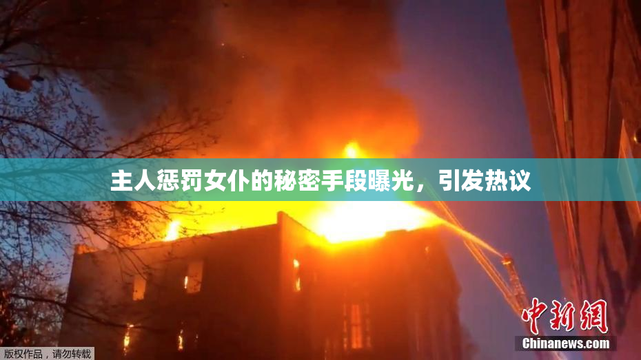 主人惩罚女仆的秘密手段曝光，引发热议