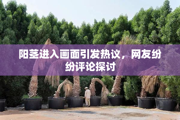 阳茎进入画面引发热议，网友纷纷评论探讨