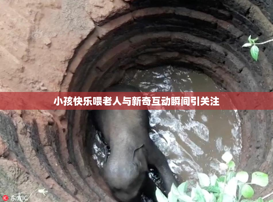 小孩快乐喂老人与新奇互动瞬间引关注