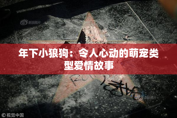 年下小狼狗：令人心动的萌宠类型爱情故事