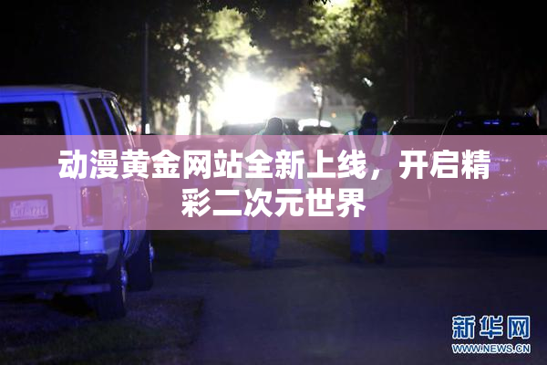 动漫黄金网站全新上线，开启精彩二次元世界
