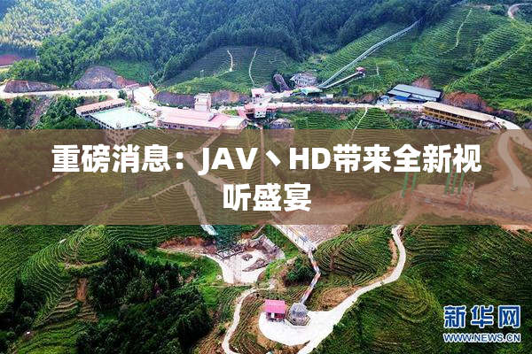 重磅消息：JAV丶HD带来全新视听盛宴
