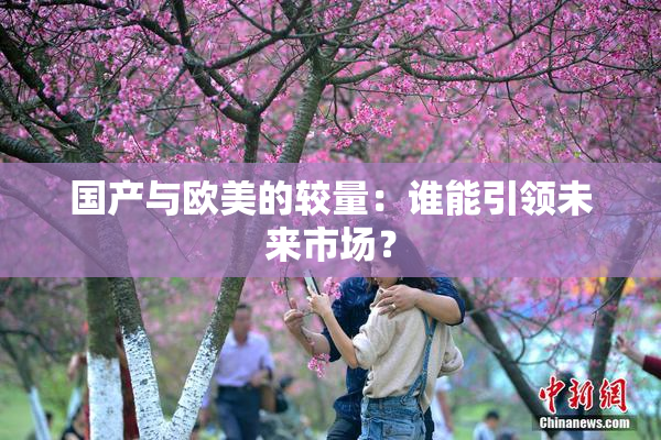国产与欧美的较量：谁能引领未来市场？