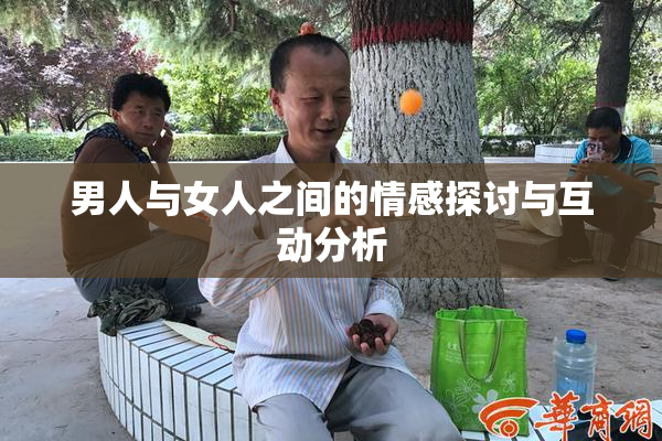 男人与女人之间的情感探讨与互动分析