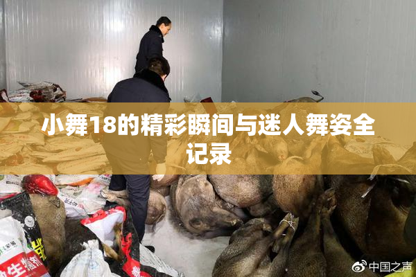 小舞18的精彩瞬间与迷人舞姿全记录