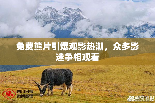 免费熊片引爆观影热潮，众多影迷争相观看