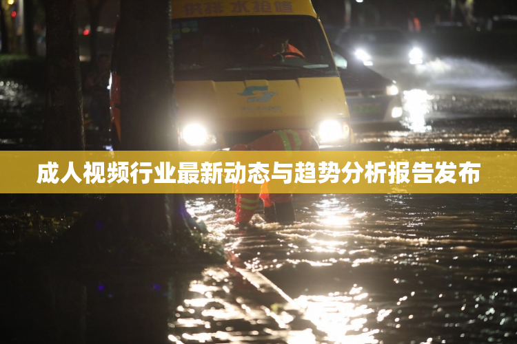 成人视频行业最新动态与趋势分析报告发布