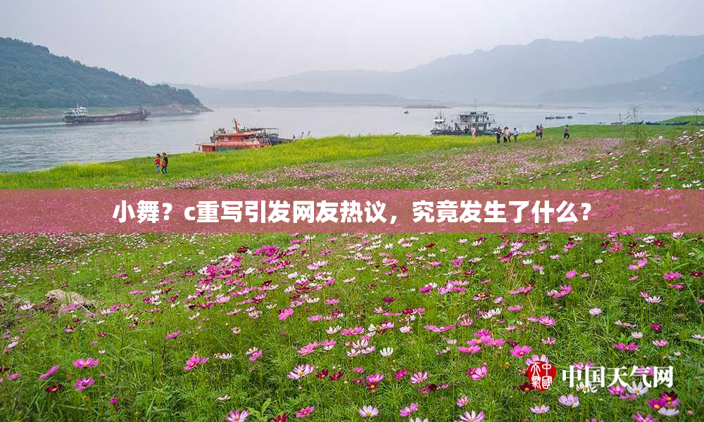 小舞？c重写引发网友热议，究竟发生了什么？