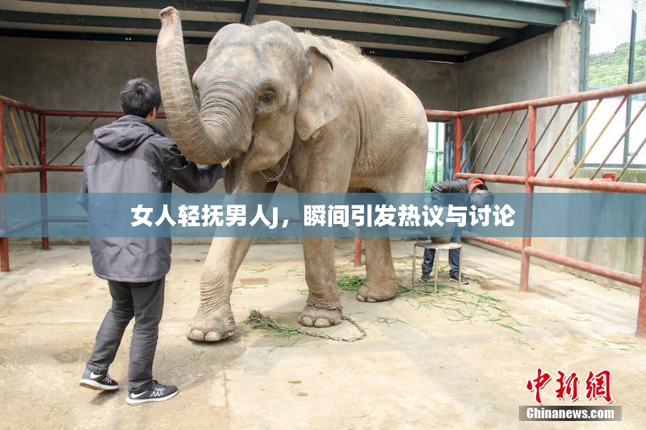 女人轻抚男人J，瞬间引发热议与讨论