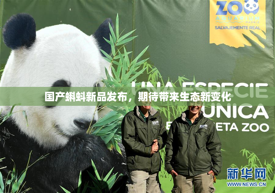 国产蝌蚪新品发布，期待带来生态新变化